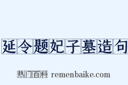延令题妃子墓造句是什么意思的图片